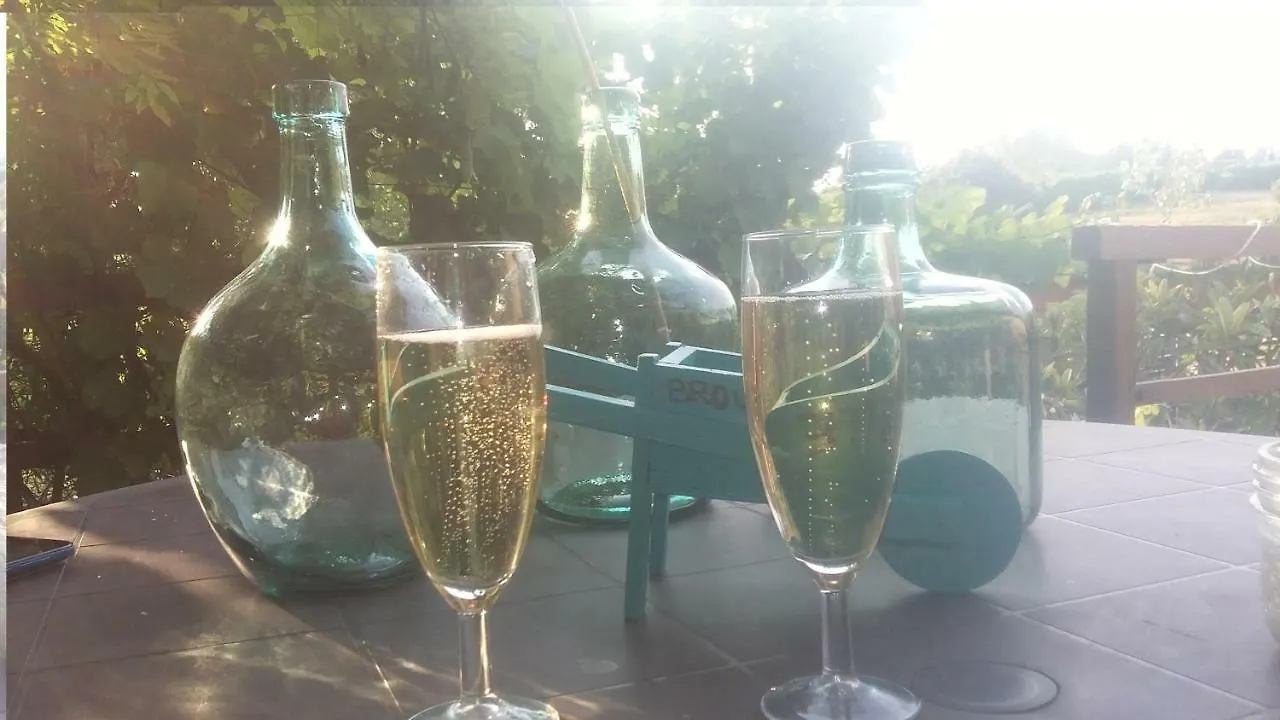 Le Triangle D'Or Villa Gaillac Nyaraló