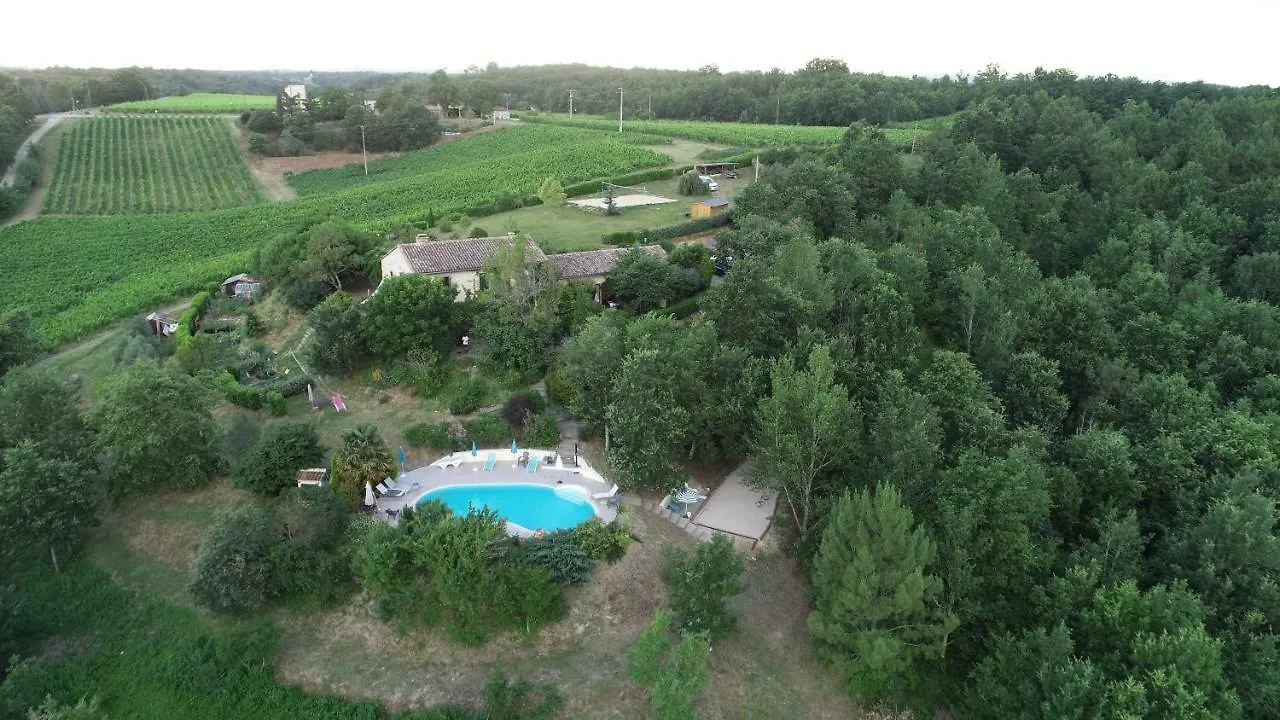 Le Triangle D'Or Villa Gaillac